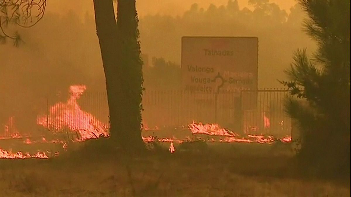 Tausende Feuerwehrleute bekämpfen Waldbrände in Portugal