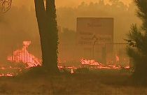 El norte de Portugal sufre una oleada de incendios agravada por las altas temperaturas