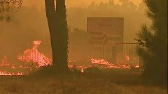 Tausende Feuerwehrleute bekämpfen Waldbrände in Portugal