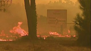 Portugal: Chamas devoram o norte do país e autarcas pedem mais meios