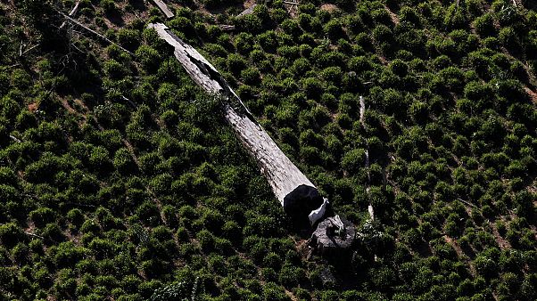 La Tierra vive a crédito durante lo que queda de año 2016 La Tierra vive a crédito durante lo que queda de año 2016