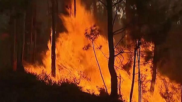 Portugal : nombreux feux de forêt, évacuations sur l'île de Madère Portugal : nombreux feux de forêt, évacuations sur l'île de Madère