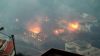 Fogo na ilha da Madeira destrói casas e obriga à evacuação de hospitais