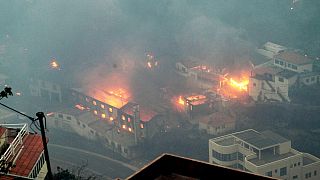 Wildfires in Portugal's Madeira Island force hundreds from their homes