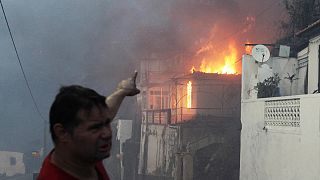 Portekiz yangınlara teslim: 100'den fazla bölge yanıyor