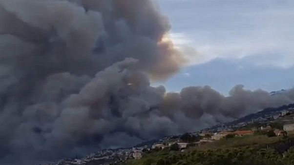 حرائق الغابات في البرتغال وغياب نظام حماية لمنعها حرائق الغابات في البرتغال وغياب نظام حماية لمنعها