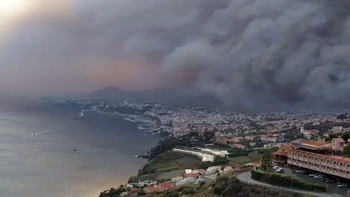 Portekiz'de orman yangınlarında 4 kişi öldü