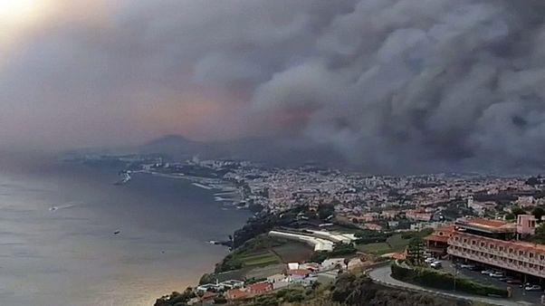 أربعة قتلى في حرائق الغابات بجزيرة ماديرا البرتغالية أربعة قتلى في حرائق الغابات بجزيرة ماديرا البرتغالية