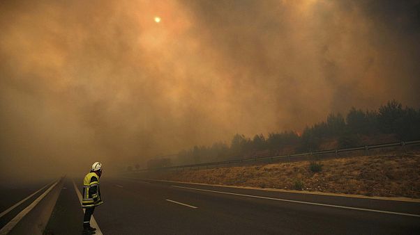 آتش سوزی در مارسی؛ جنگلهای شمال این منطقه دچار حریق شدند آتش سوزی در مارسی؛ جنگلهای شمال این منطقه دچار حریق شدند