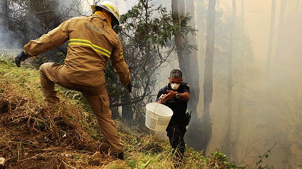 Portugal is fighting against fire Portugal is fighting against fire