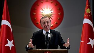 Pro-Erdogan Turks protest in Nigeria