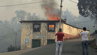 Portugal hace frente a 151 incendios en el centro y norte del país