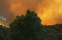 الحرائق تلتهم الغابات في جنوب غرب فرنسا