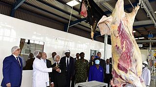 [Photos] Museveni opens Egypt-Uganda private beef processing factory