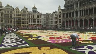 Bruxelas: Tapete de flores gigante celebra amizade entre Bélgica e Japão
