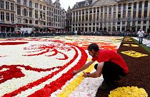 Японський килим із квітів у Брюсселі