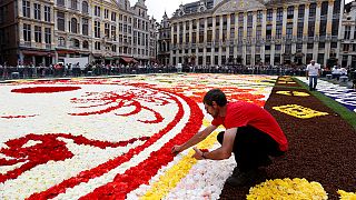 Japón inspira el tapiz floral en la Grand Place de Bruselas