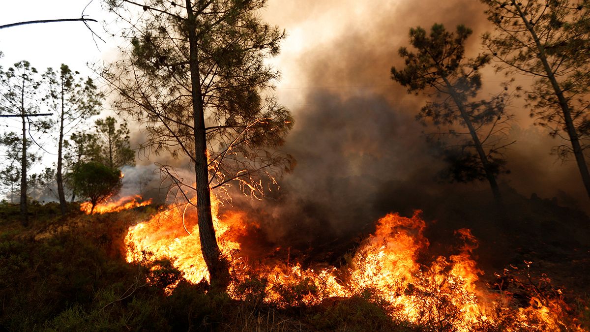 Fighting wildfires in Portugal and Spain