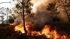 Waldbrände in Portugal und Spanien zunehmend unter Kontrolle