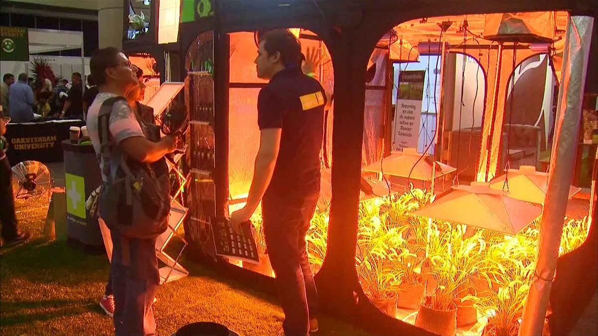 Mexico marijuana fair pushes for drug to be made legal