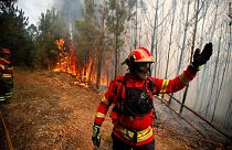Πορτογαλία: Εικόνες- σοκ από τις καταστροφικές πυρκαγιές