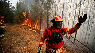 Portugal cierra luchando contra el fuego su semana más aciaga