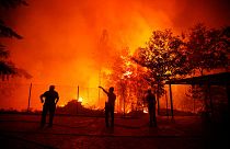خسارت های آتش سوزی گسترده در پرتغال از دریچه دوربین یک پهباد