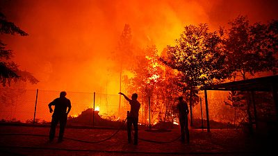 Portekiz'deki orman yangınına tepeden bakış
