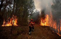 Továbbra is erdőtüzek pusztítanak Portugáliában