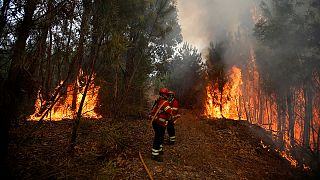 Portuguese firefighters continue to battle wildfires