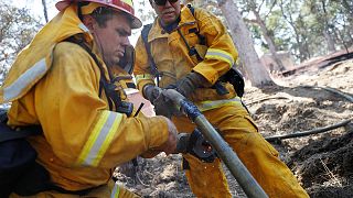 Un incendio forestal arrasa un centenar de casas en California
