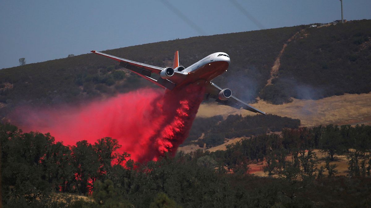 Waldbrand in Nordkalifornien: Brandstifter verhaftet