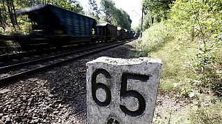 Treasure hunters excavate site of a buried Nazi "gold train"