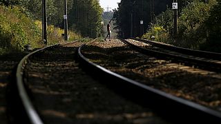 Poland: search for Nazi gold train