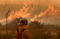 Kaliforniya'daki orman yangınları henüz kontrol altına alınamadı