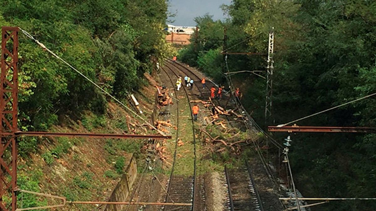 Schnellzug kollidiert mit umgestürztem Baum: 10 Schwerverletzte nach Unwetter in Südfrankreich