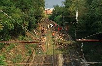 Во Франции поезд врезался в упавшее на рельсы дерево