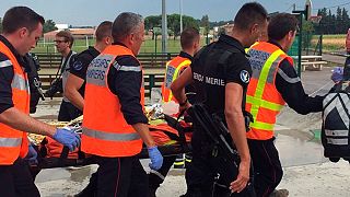 Train crashes in southern France after hitting tree on the tracks