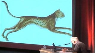 Philippe Descola et le dualisme Humain/Animal Philippe Descola et le dualisme Humain/Animal