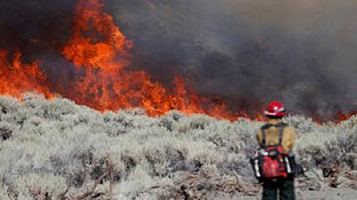USA : des milliers d'hectares de forêt dévastés par le feu en Californie