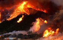 الحرائق تواصل تمددها شرق كاليفورنيا