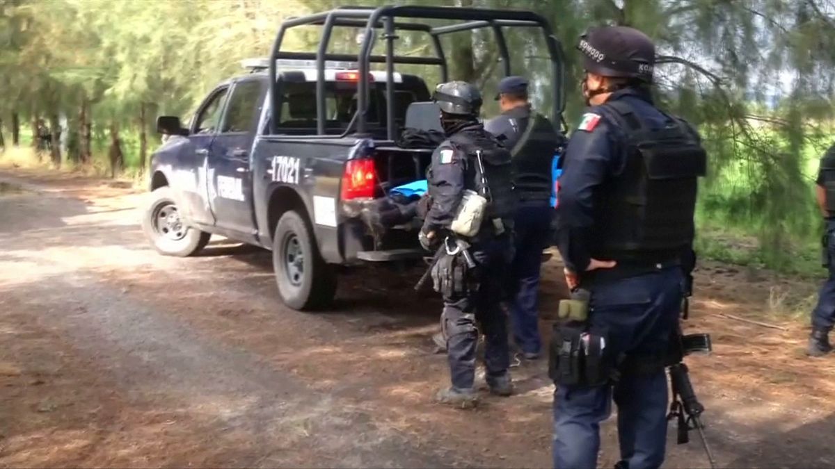 22 Mexican drug cartel members 'executed by police' - report