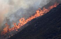 Kaliforniya'da yangından kaçışlar sürüyor