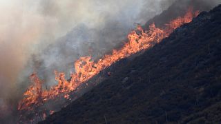 Tras cuatro días los bomberos controlan el 22% del incendio de San Bernardino, California