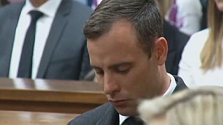 Oscar Pistorius' lawyers exasperated by state's appeal