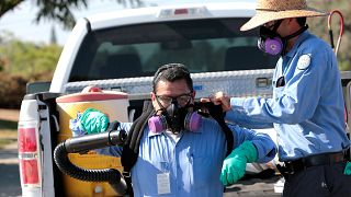 Miami 'de yeni Zika vakaları tespit edildi