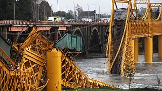 Freight train falls into river after bridge collapses in Chile