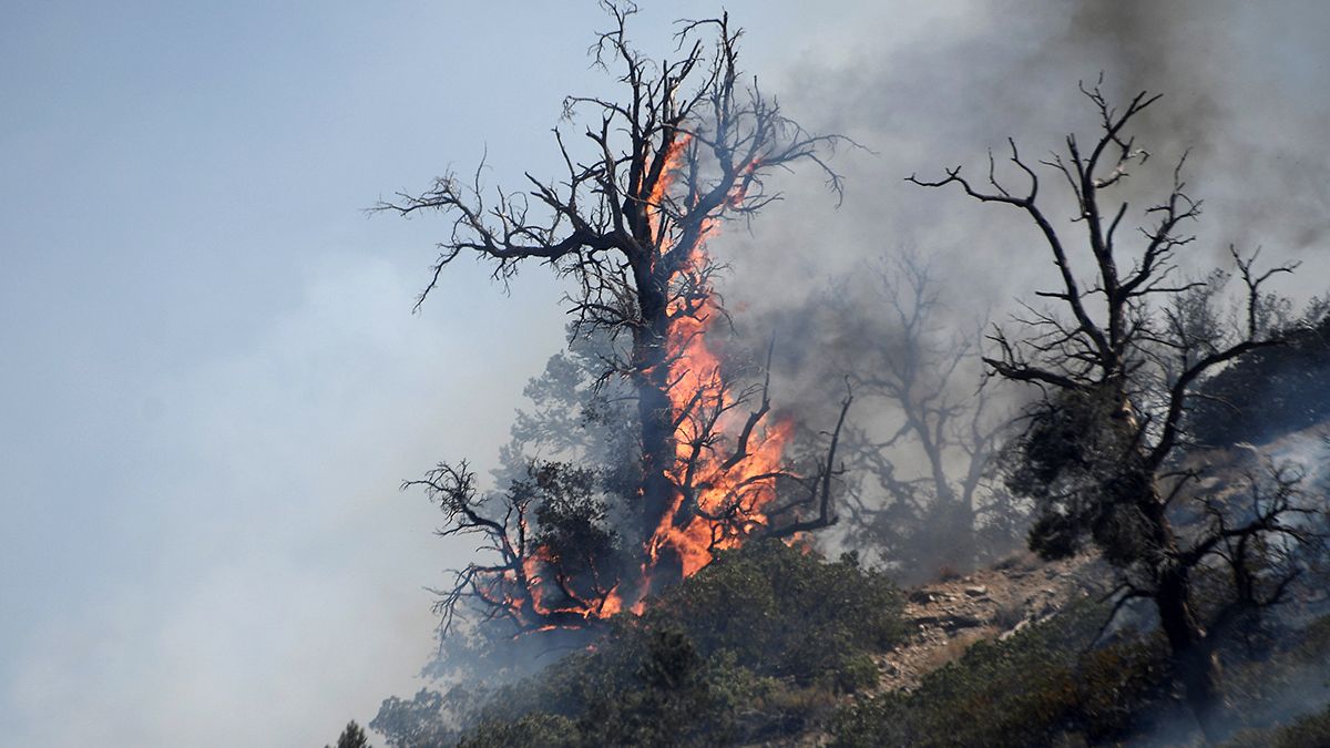 إجلاء عشرات آلاف السكان من منازلهم بسبب حرائق غابات كاليفورنيا