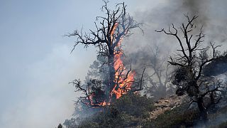 Los bomberos controlan el 26 por ciento del incendio de California