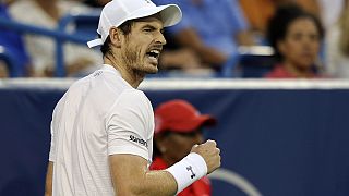 Olympic champion Murray wins career-best 22nd straight match